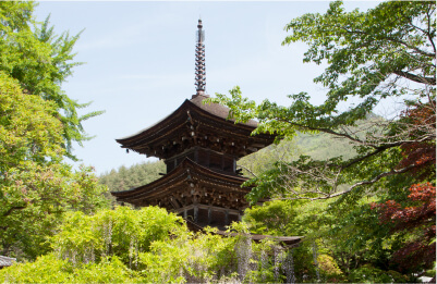 塩田平コースの画像