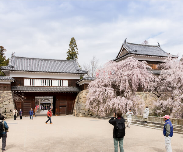 上田城の画像